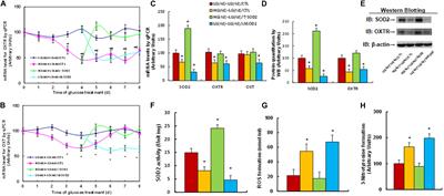 Maternal Diabetes-Induced Suppression of Oxytocin Receptor Contributes to Social Deficits in Offspring